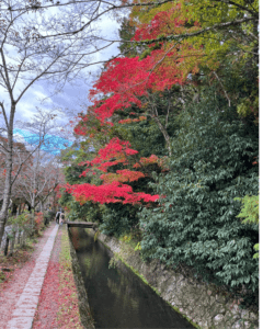 Philosophers Path in Kyoto