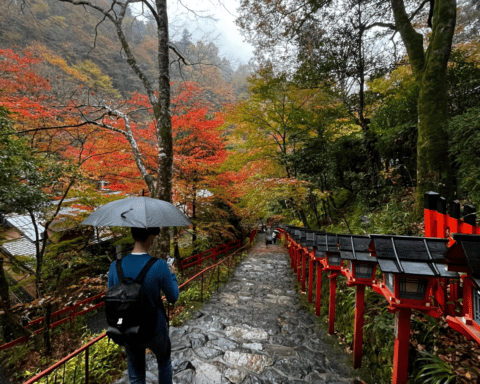Wesley in Kifune